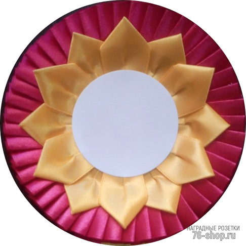 Наградная розетка №20